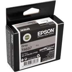 Epson T46S7 Gray (Genuine) Epson T46S7 Gray (Genuine)
