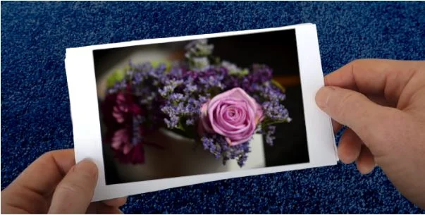 Canon SELPHY CP1300 printer