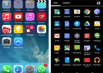 Customizable Widgets and Skins