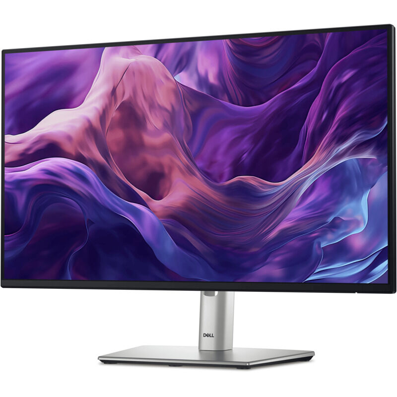 Dell 24in Monitor P2425HE