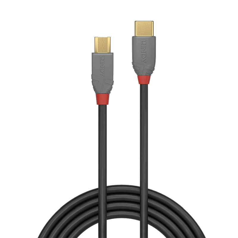 Lindy 2m USB-C 2.0 to Micro-B Cable - Anthra Line