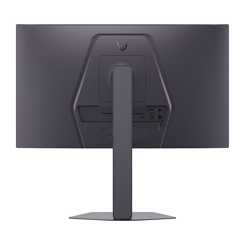 LG 25in IPS FHD Gaming Monitor 300Hz