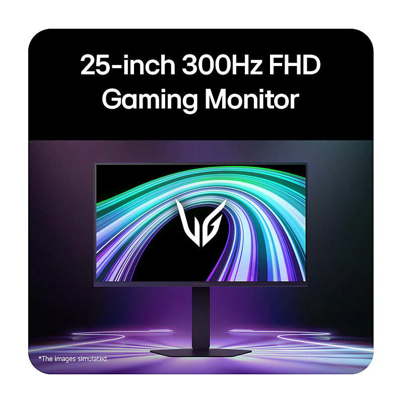 LG 25in IPS FHD Gaming Monitor 300Hz