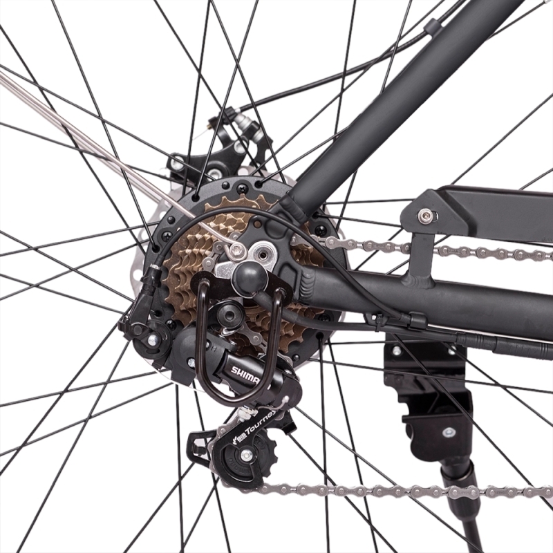 Monster City Road e-Bike
