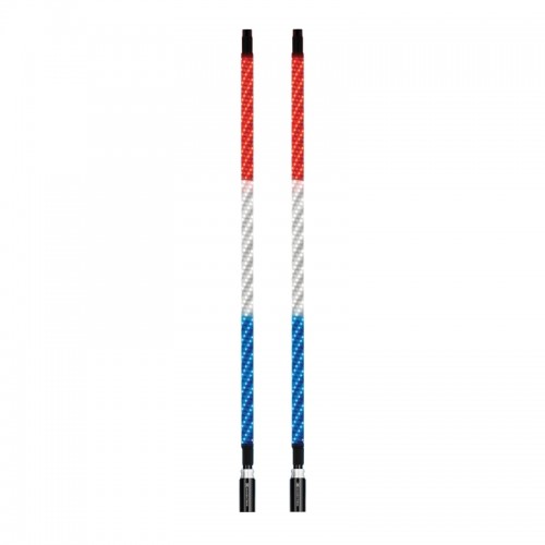 EcoXgear 4 Foot Whip LED Kit with Controller