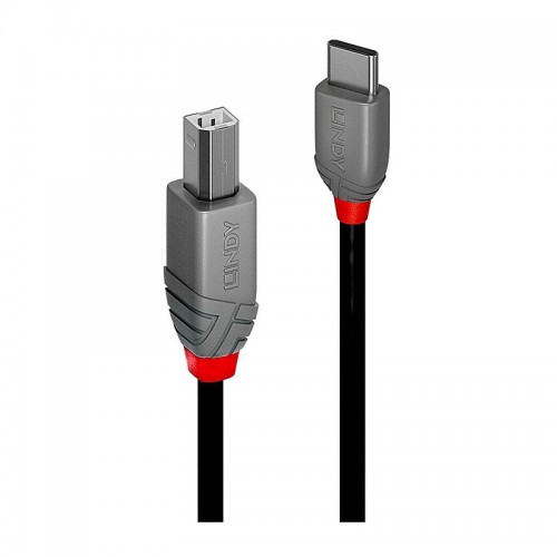 Lindy 2m USB 2.0 Type C to B