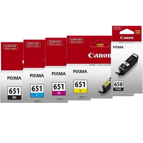 Canon PGI-650/CLI-651 5 Pack Bundle (Genuine)