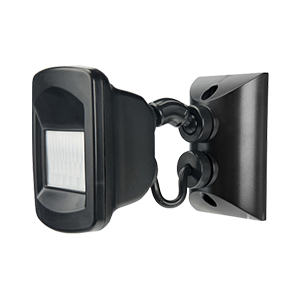 Motion Detectors