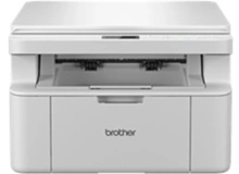 Brother DCP-L1630W