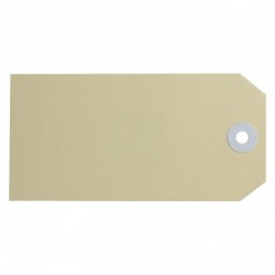Avery Buff Shipping Tags Size 5 - 120 x 60 mm - 1000 Tags