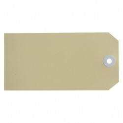 Avery Buff Shipping Tags Size 6 - 67 x 134 mm - 1000 Tags
