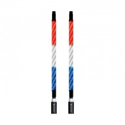 EcoXgear 2 Foot Whip LED Kit with Controller