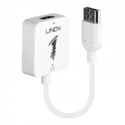 Lindy HDMI to DisplayPort UHD 4K Converter