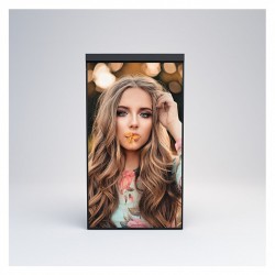 Mitsumaru 2500nit Portrait Only Window Signage Display 75in