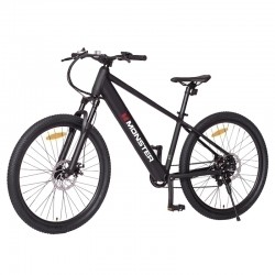 Monster e-Mountain Bike