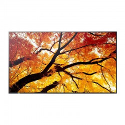 Sharp MultiSync PN-M862 86in Large Format Display